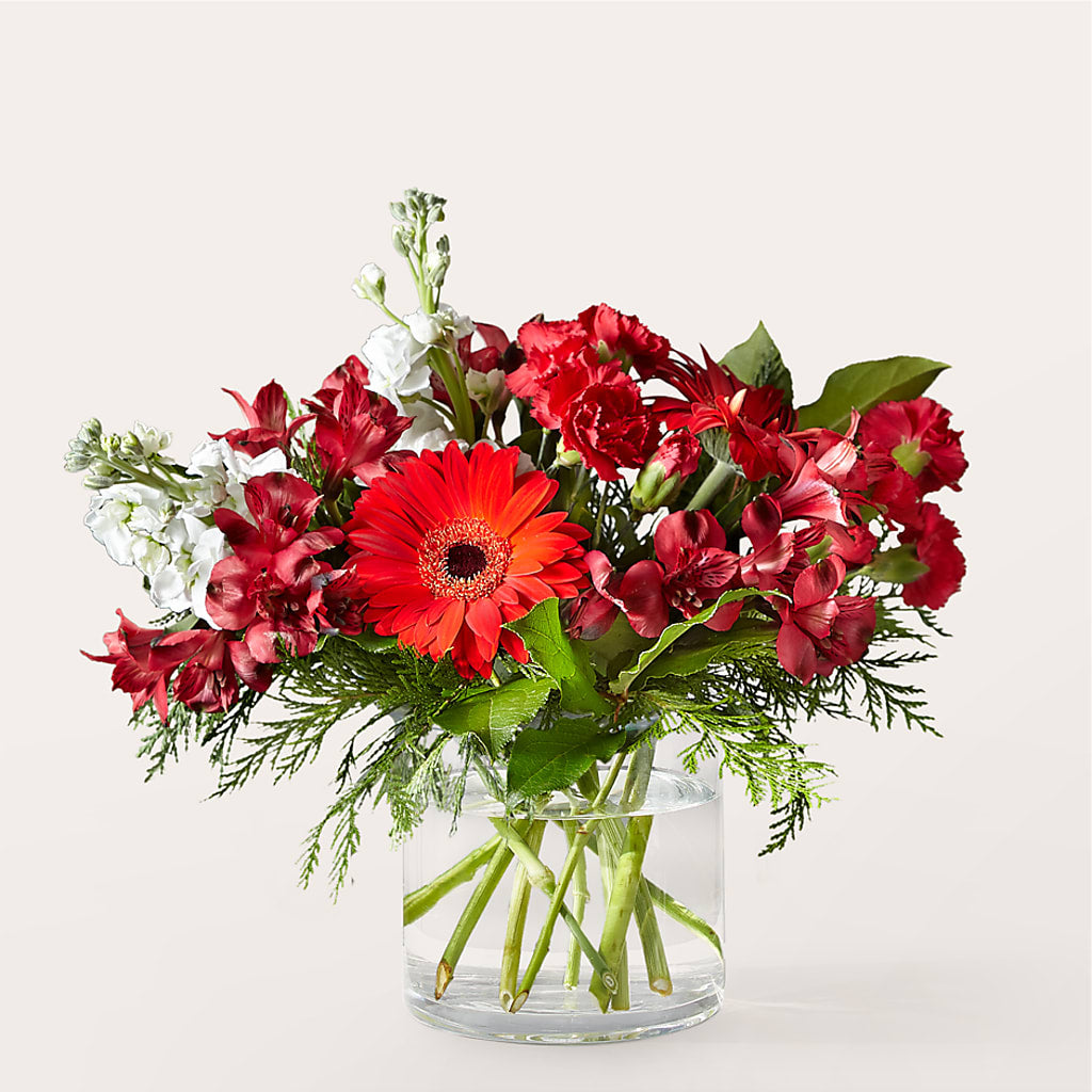 Holidaisy Bouquet – Mano Florist, Dearborn Heights MI