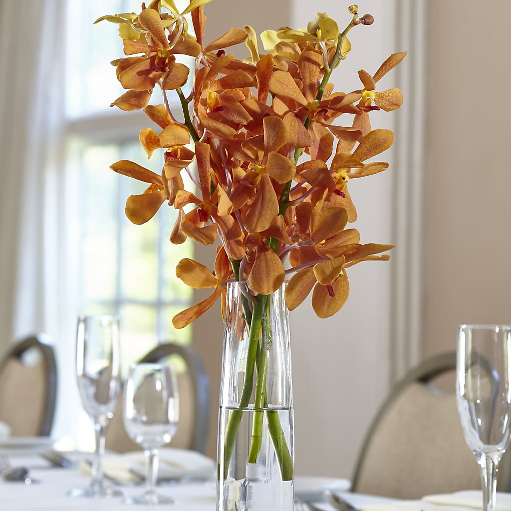 Orange Mokara Bud Vase – Mano Florist, Dearborn Heights MI