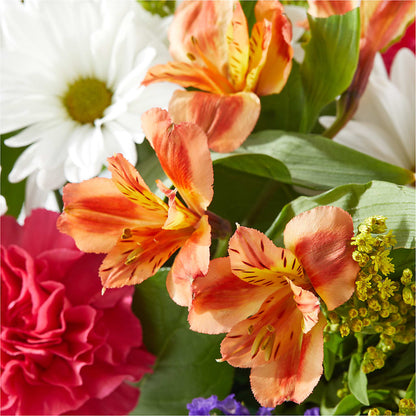 Oopsie Daisy Box Bouquet –  Mano Florist, Dearborn Heights MI