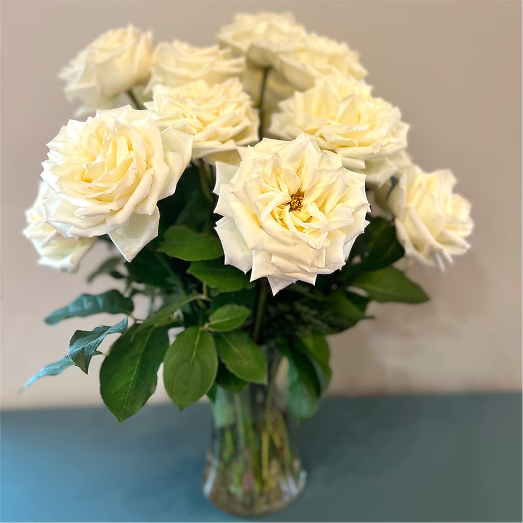 Long Stem Yellow Rose Bouquet –  Mano Florist, Dearborn Heights MI