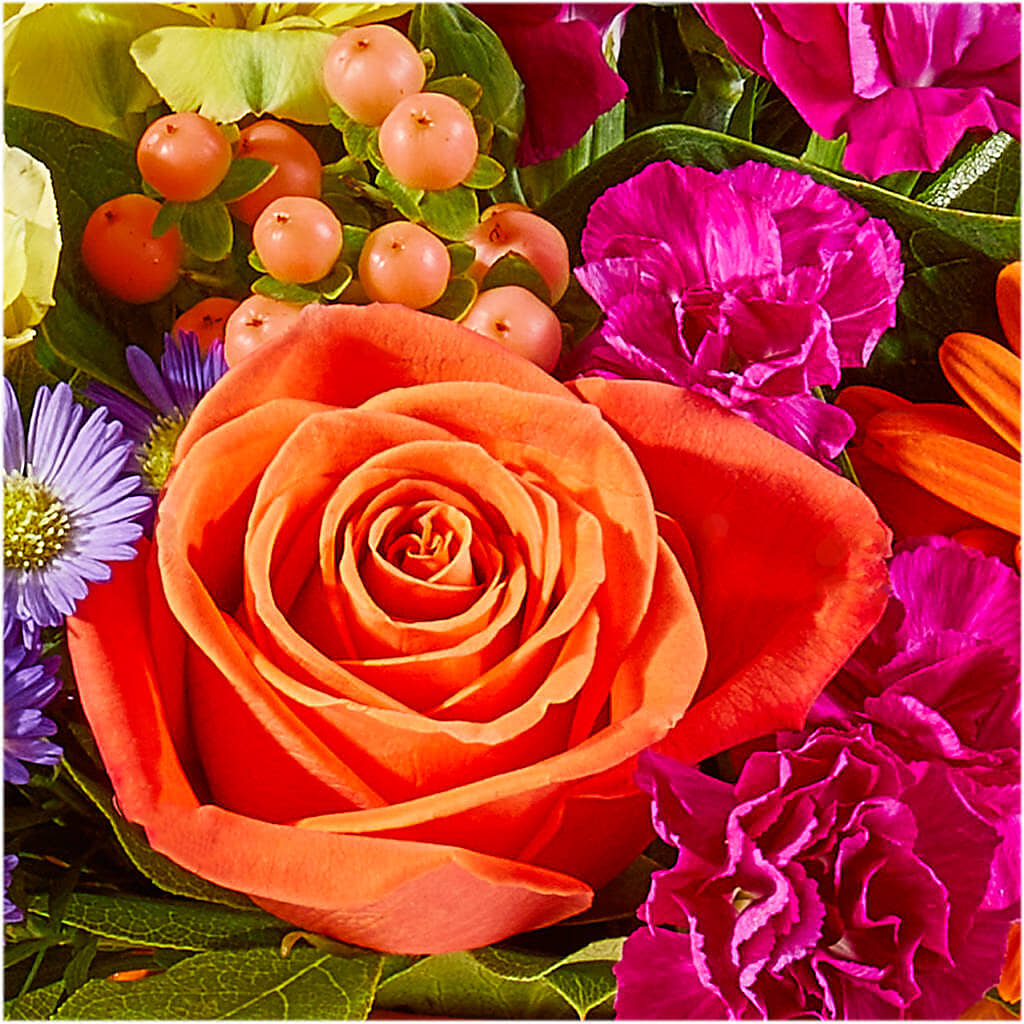 Tricks & Treats Pumpkin –  Mano Florist, Dearborn Heights MI