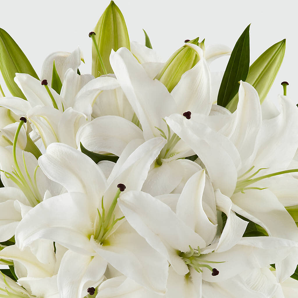 Faithful Blessings Bouquet –  Mano Florist, Dearborn Heights MI