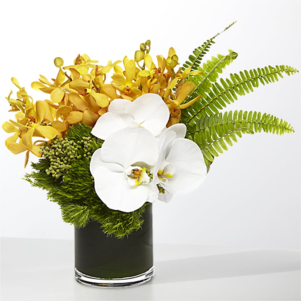 The Tropics –  Mano Florist, Dearborn Heights MI