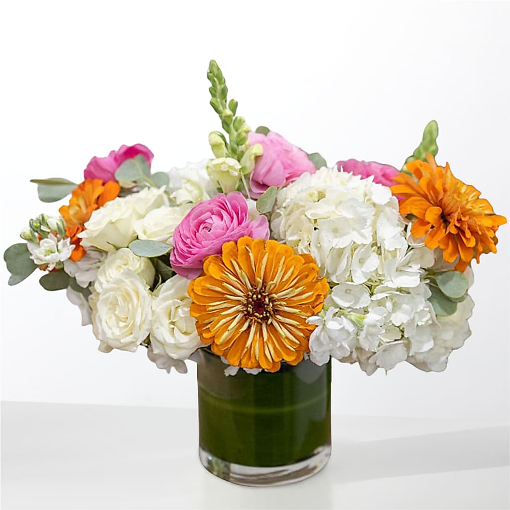 The Meet Cute