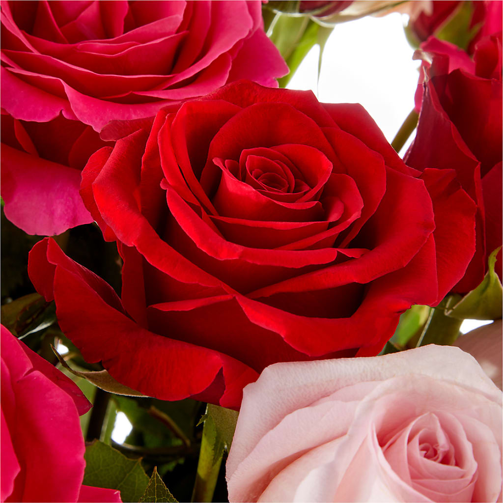 Love Notes Rose Bouquet –  Mano Florist, Dearborn Heights MI
