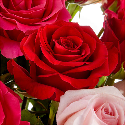 Love Notes Rose Bouquet –  Mano Florist, Dearborn Heights MI