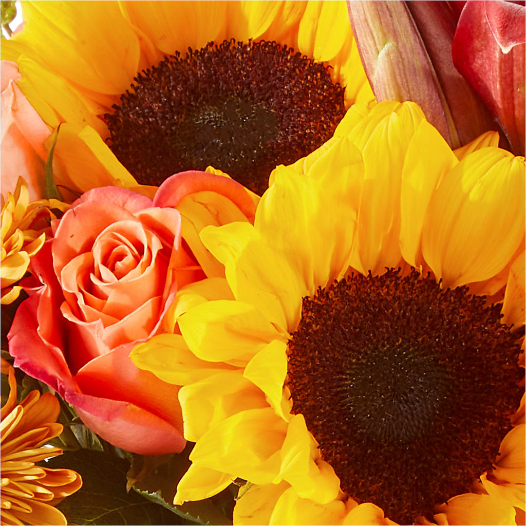 Acorn Lane Bouquet –  Mano Florist, Dearborn Heights MI