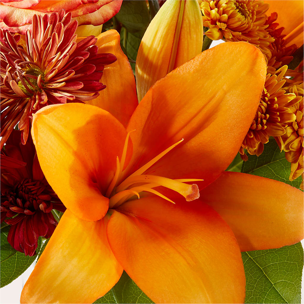 Autumnal Aroma Bouquet –  Mano Florist, Dearborn Heights MI