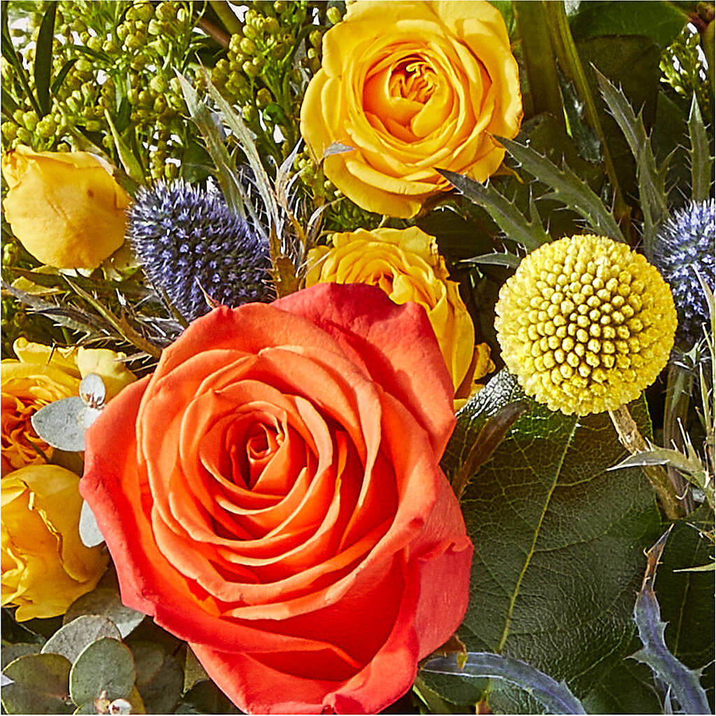 Disco Bouquet –  Mano Florist, Dearborn Heights MI